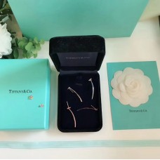 Tiffany T 925 Colgante de barra de alambre de plata Pendientes con motivo de T para mujer Oro rosa / Plata Regalo del día de San Valentín